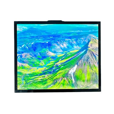 購入 T-CON TFT LCD モジュール TFT スクリーン 19 インチ 全IPS ビューイング 470cd 輝度 online manufacture